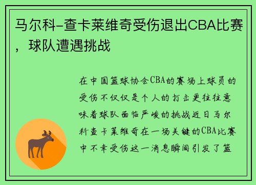 马尔科-查卡莱维奇受伤退出CBA比赛，球队遭遇挑战