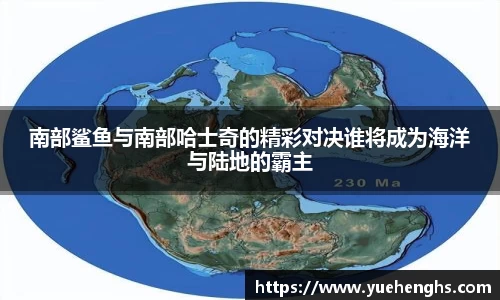 星空·综合体育官网