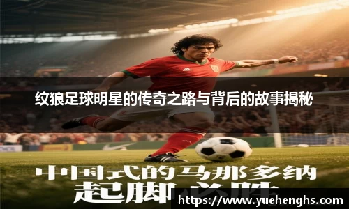 星空·综合体育中国官网